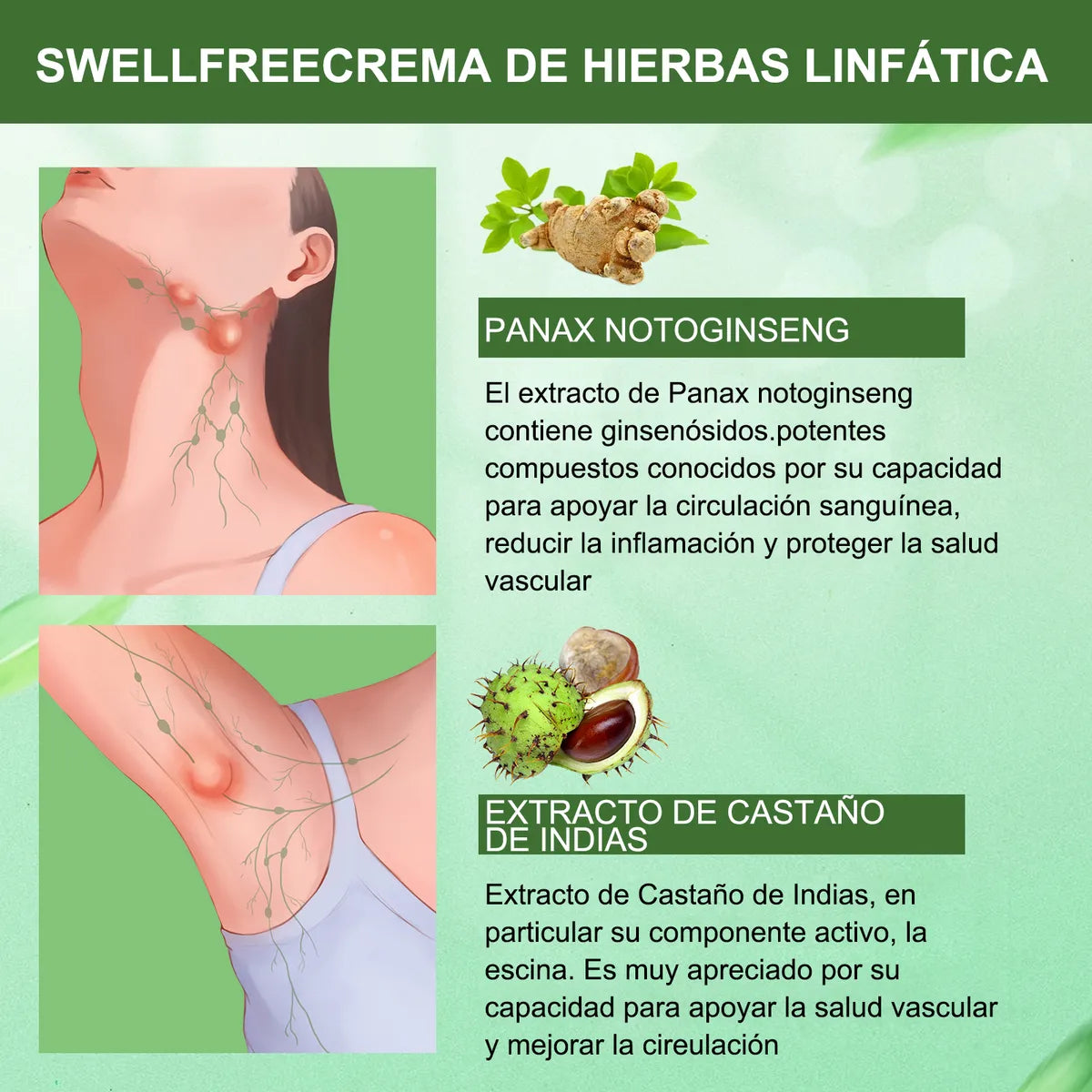 🌿DETOX HERBAL Mejora la Circulación y la Hinchazón✨